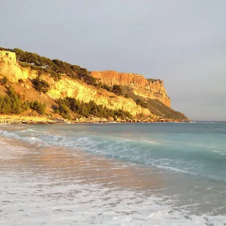 Le Piano Par Dodo-a-cassis